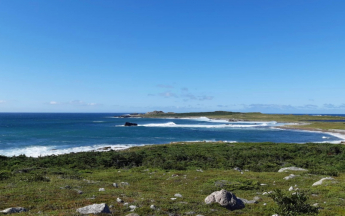 Anse de Savoyard - Saint Pierre - Août 2025
