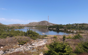 Etang Frecker -St Pierre - Mai 2025