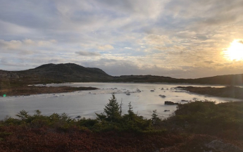 Etang du Trépied - St Pierre - décembre 2025