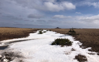 Vue sur le Chapeau - Miquelon - mars 2025