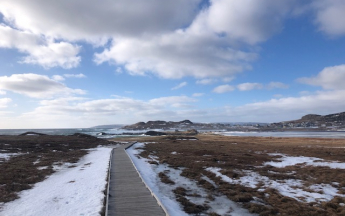 Savoyard - St Pierre - février 2025