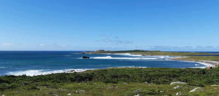 Anse de Savoyard - Saint Pierre - Août 2025