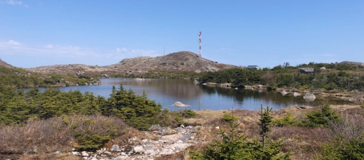 Etang Frecker -St Pierre - Mai 2025