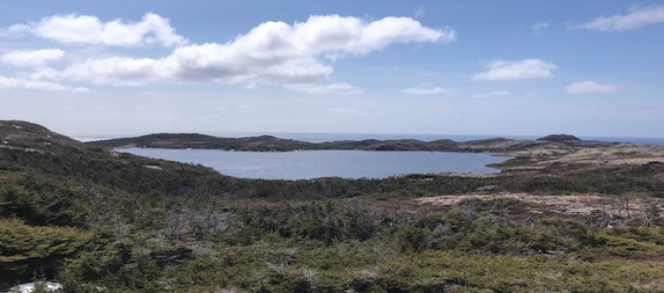 Etang du Goéland - St Pierre - avril 2025