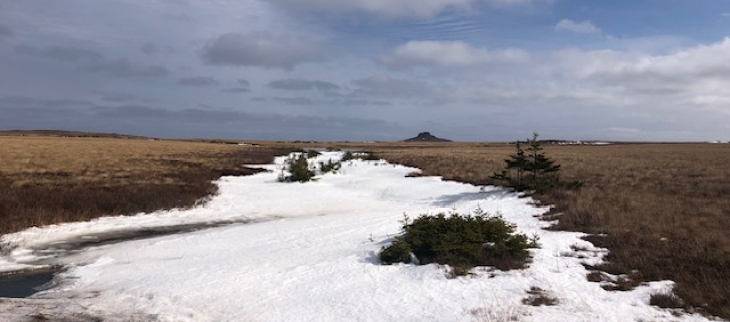 Vue sur le Chapeau - Miquelon - mars 2025