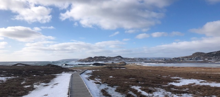 Savoyard - St Pierre - février 2025