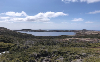 Etang du Goéland - St Pierre - avril 2025