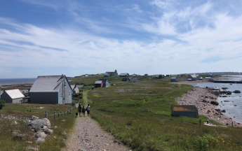 Ile aux marins - juillet 2025