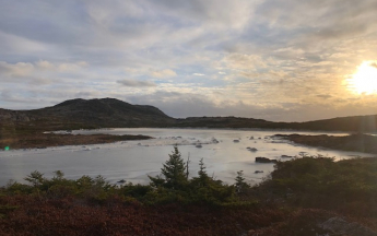 Etang du Trépied - St Pierre - décembre 2025