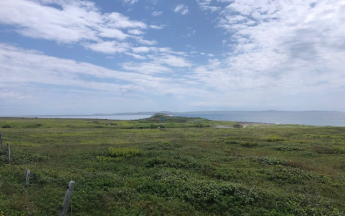 Isthme de Miquelon-Langlade - Juin 2025