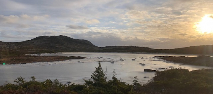 Etang du Trépied - St Pierre - décembre 2025