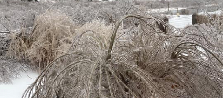 Accumulation à Savoyard
